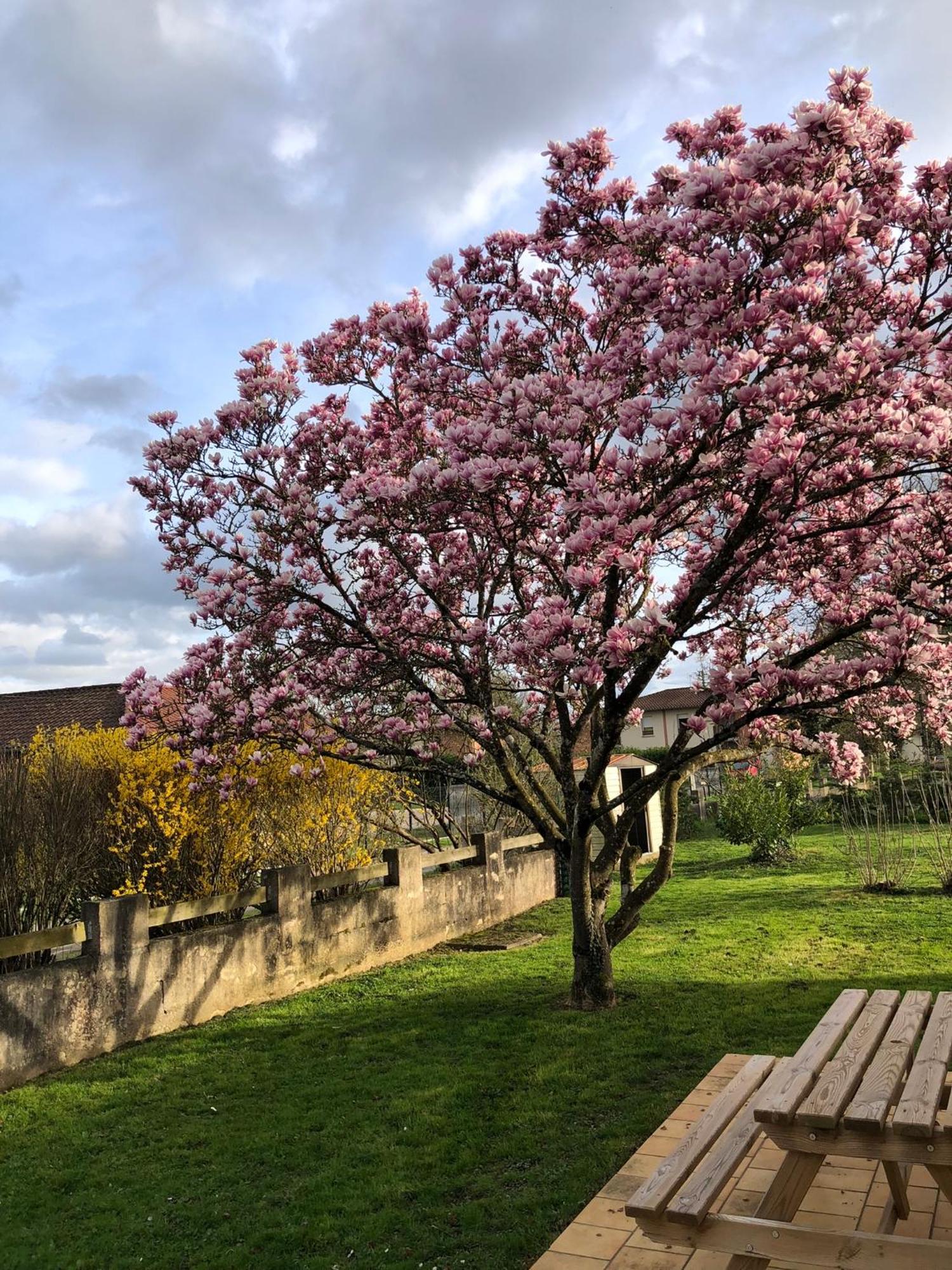 Parc De La Charmille Bed & Breakfast Saint-Etienne-sur-Reyssouze Bagian luar foto